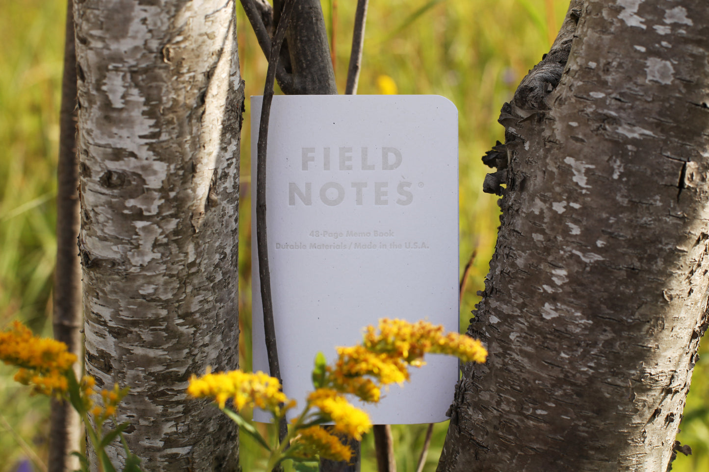 3 Pack - Birch Field Notes (Graph)