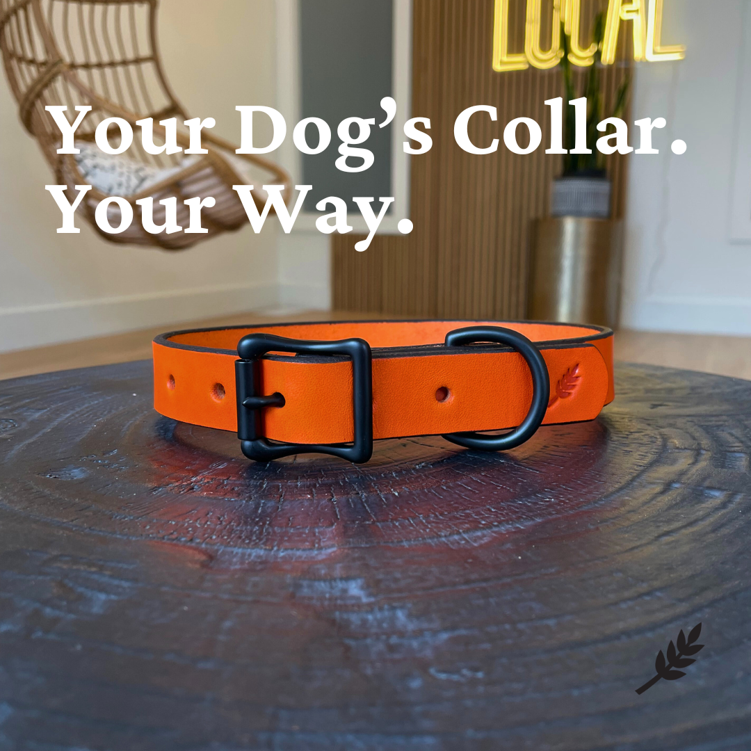 Handcrafted Leather Dog Collar